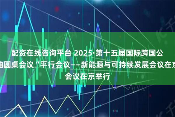 配资在线咨询平台 2025·第十五届国际跨国公司领袖圆桌会议“平行会议——新能源与可持续发展会议在京举行