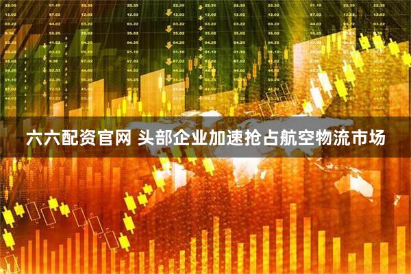 六六配资官网 头部企业加速抢占航空物流市场
