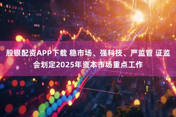 股银配资APP下载 稳市场、强科技、严监管 证监会划定2025年资本市场重点工作